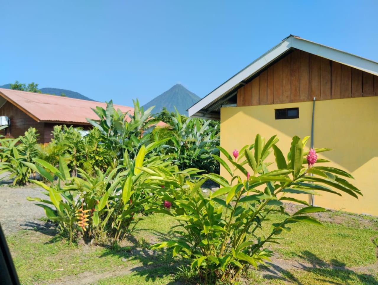 Cabana Rural Ave Del Paraiso La Fortuna Exterior photo
