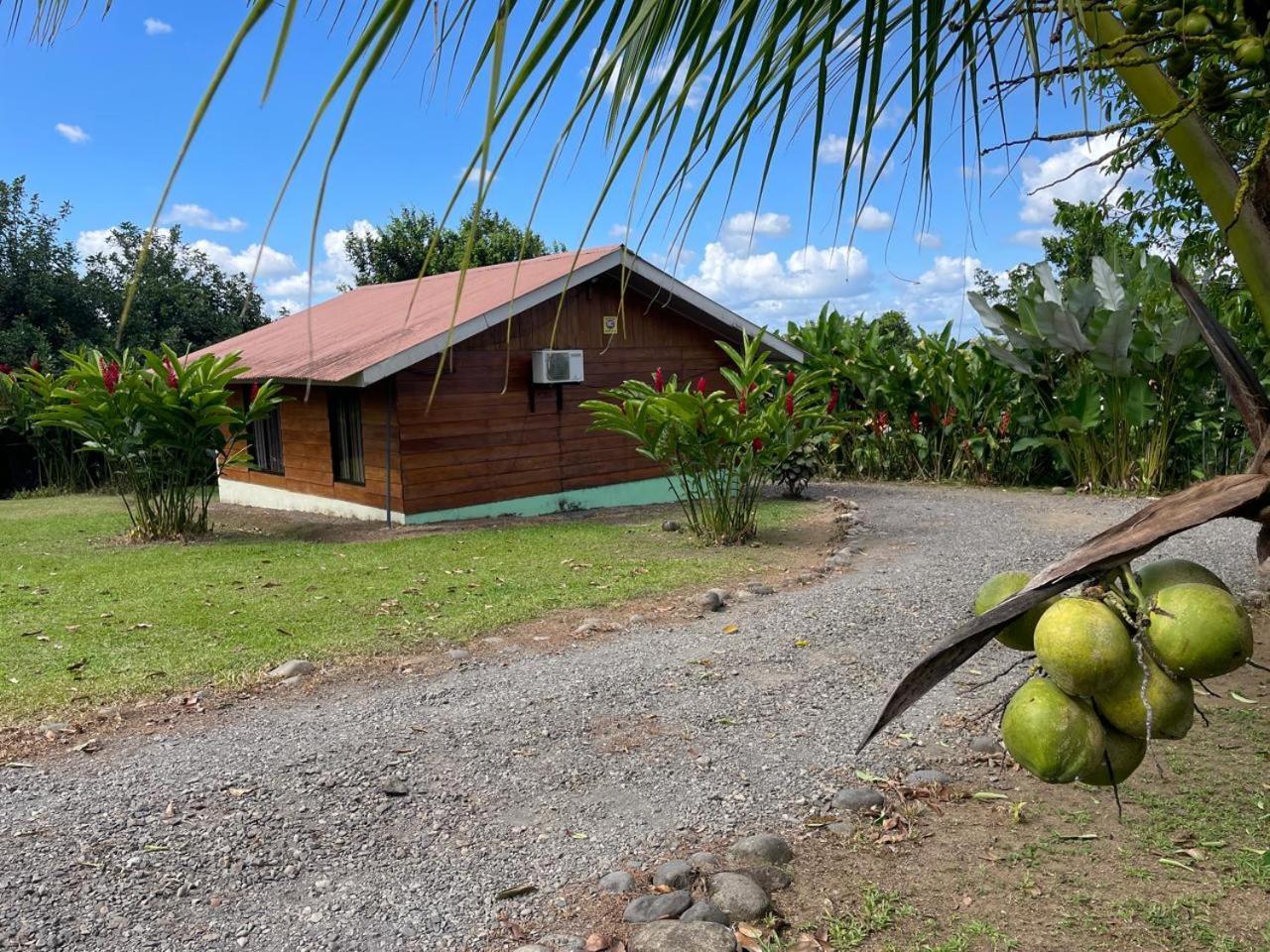 Cabana Rural Ave Del Paraiso La Fortuna Exterior photo